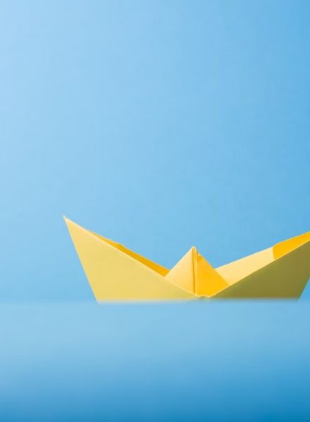 Collaborazione con professionisti 